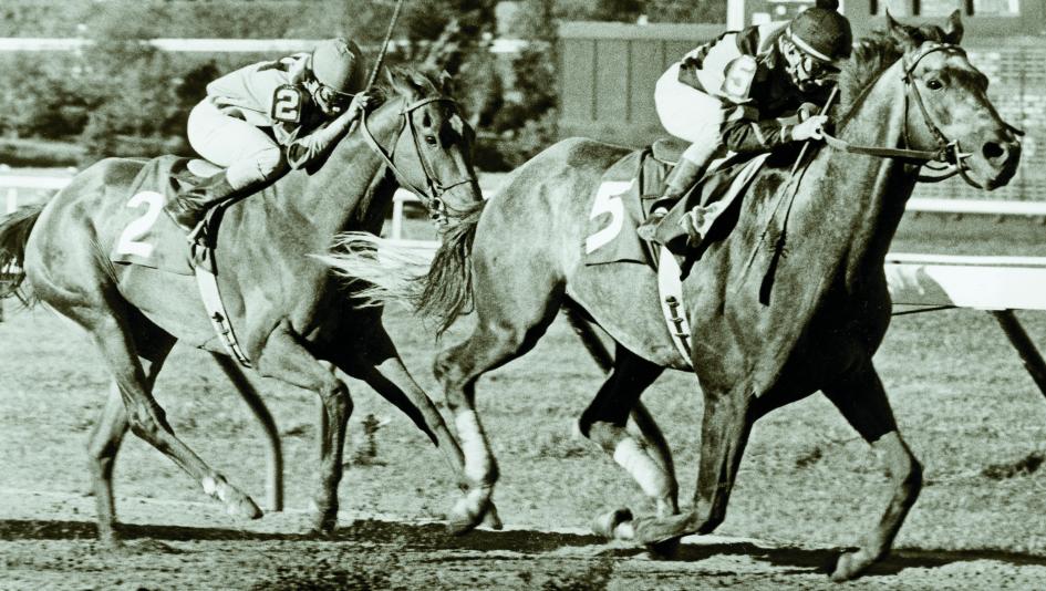 Spectacular Bid defeats Glorioius Song in the 1980 Haskell Handicap.